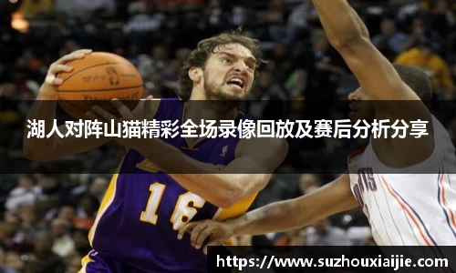 湖人对阵山猫精彩全场录像回放及赛后分析分享